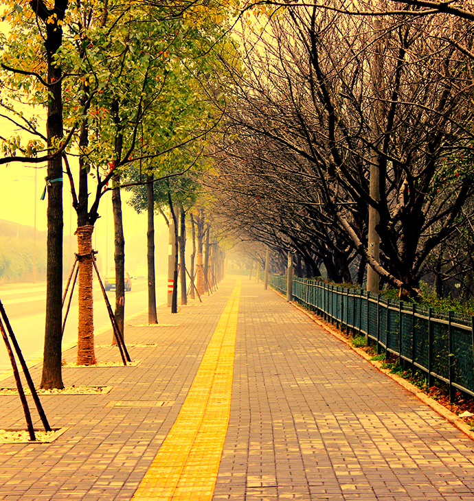 廣東佛山南莊大道提升工程